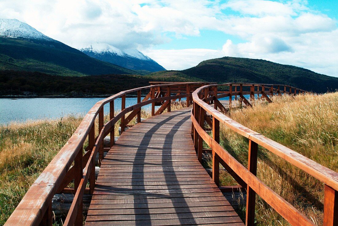 Wooden walkway with railing leading through Tierra del Fuego National Park in Argentina