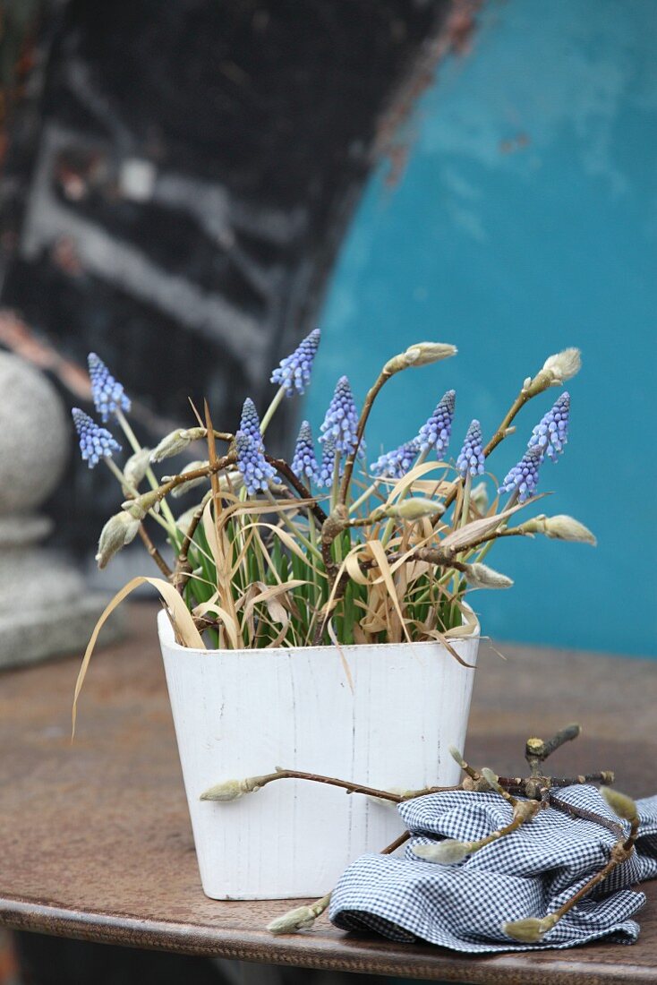 Arrangement of grape hyacinths and twigs