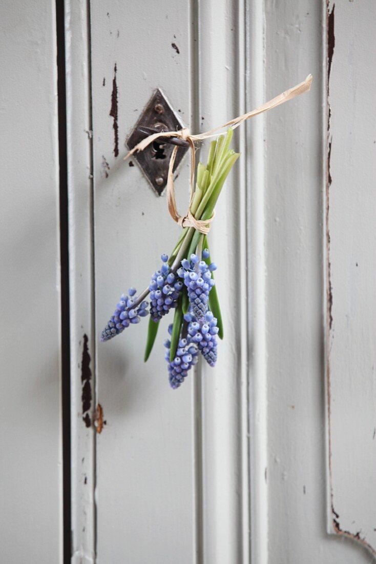 Posy of grape hyacinths hung from wardrobe key