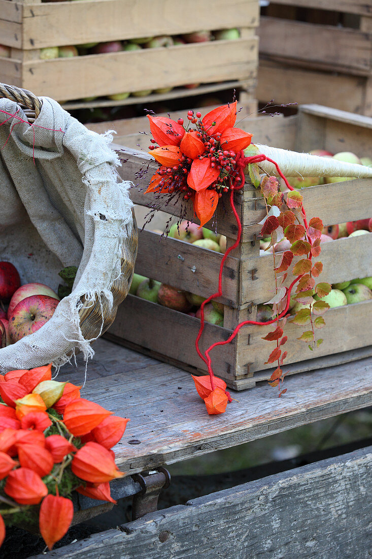 Posy of rose hips and physalis seed heads on fruit box