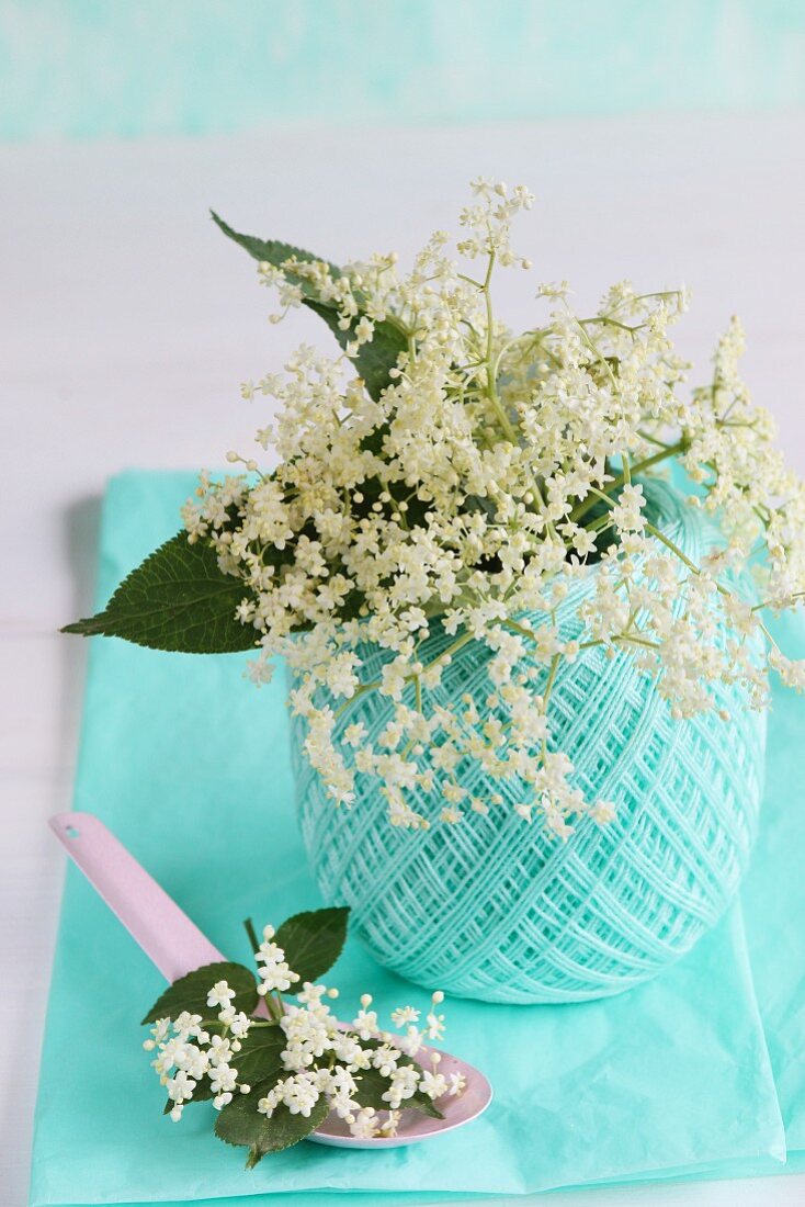 Fresh elder flowers and leaves inside ball of yarn and on pink enamel spoon