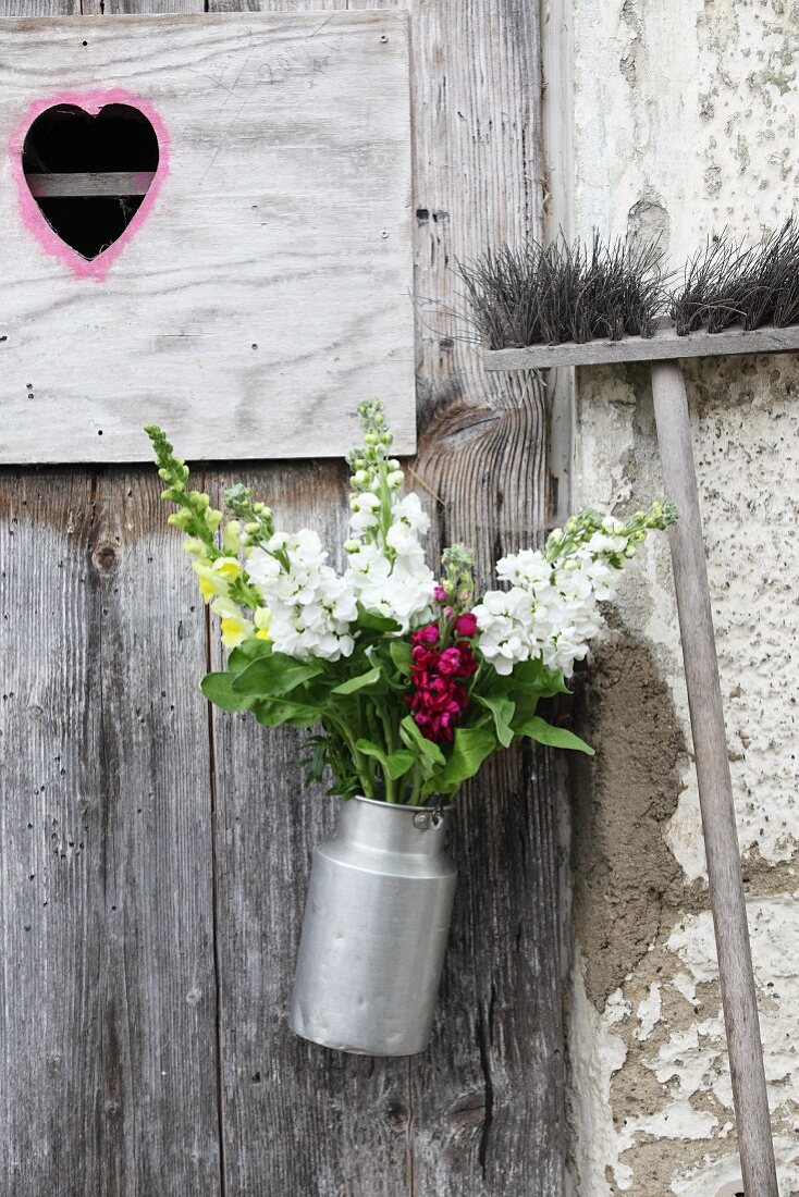 Bouquet of snapdragons in old milk churn hung on door
