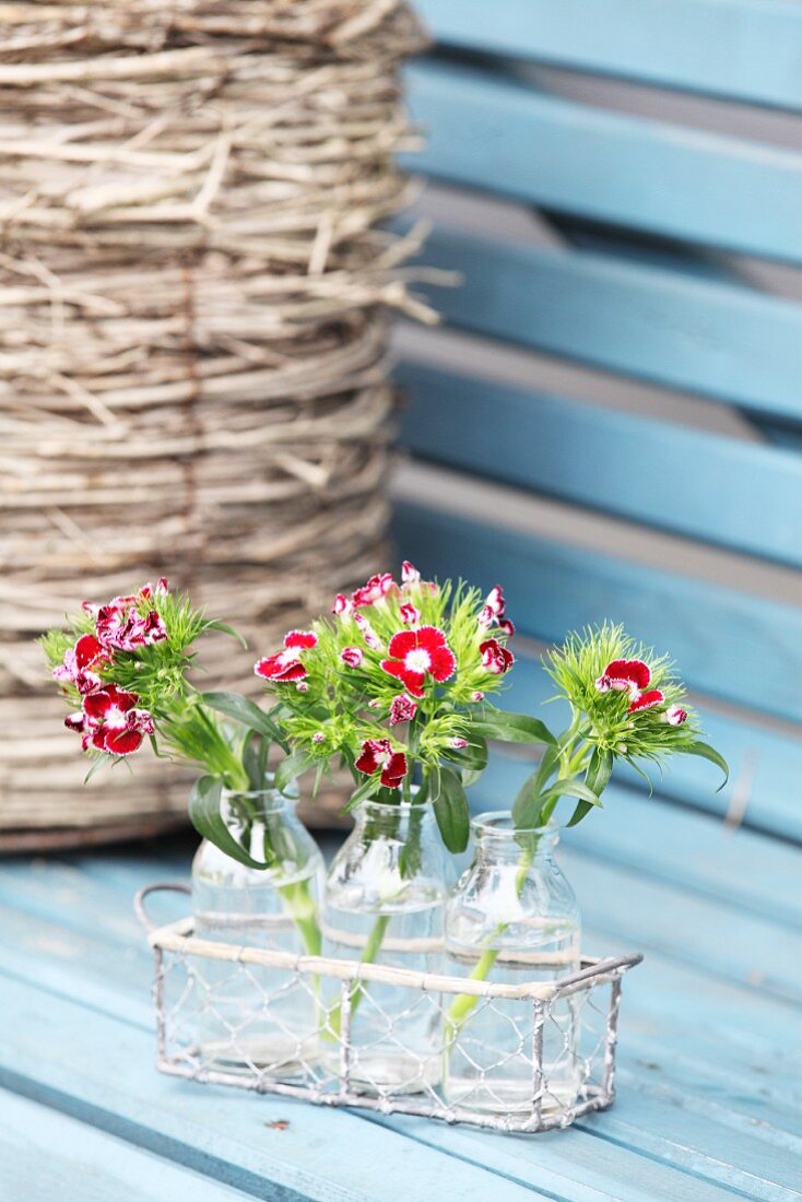 Red sweet Williams in glass bottles in wire basket