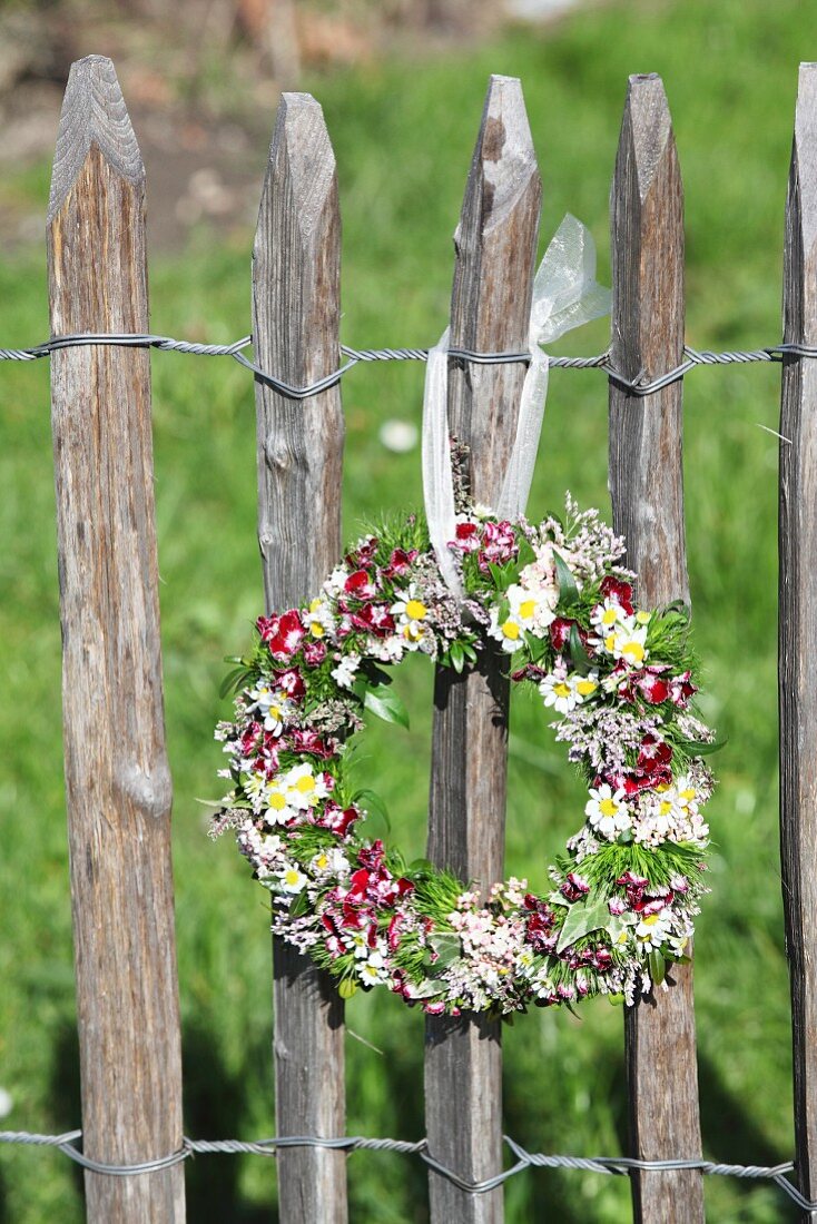 Wreath of sweet Williams and chamomile hung from garden fence