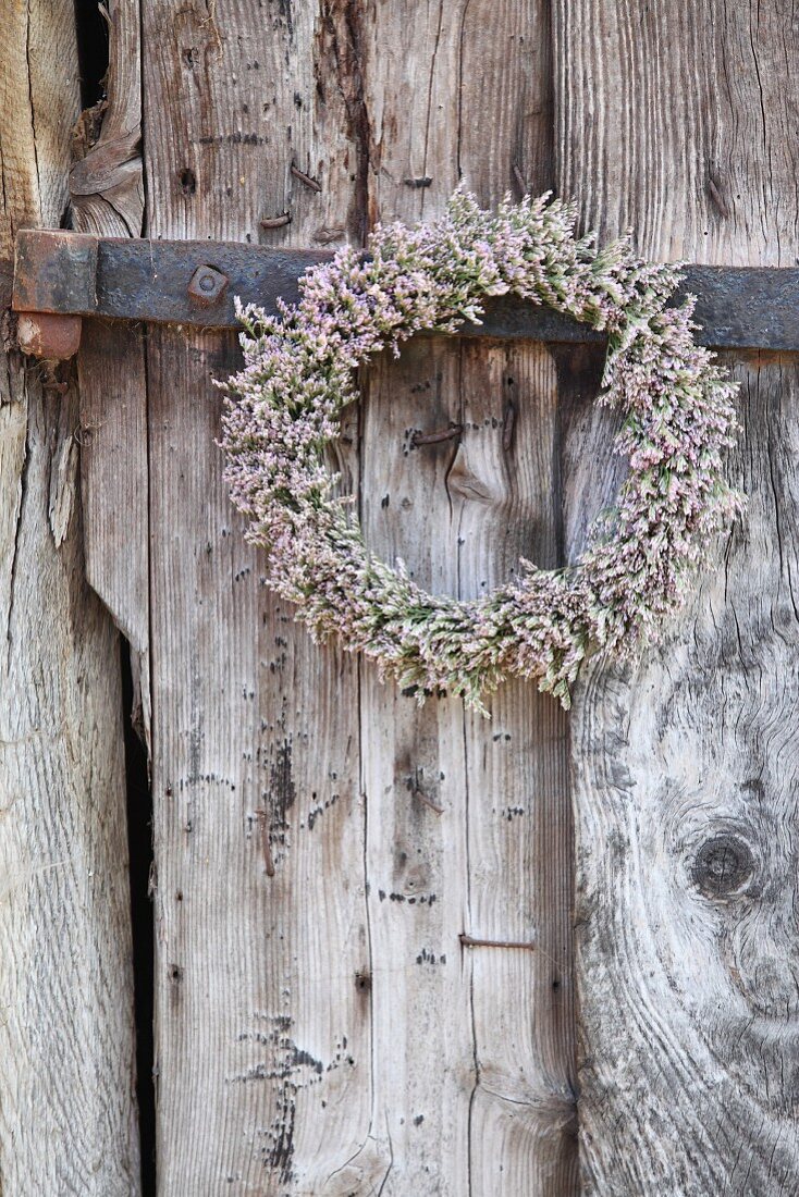 Wreath of sea lavender hung on weathered wooden door