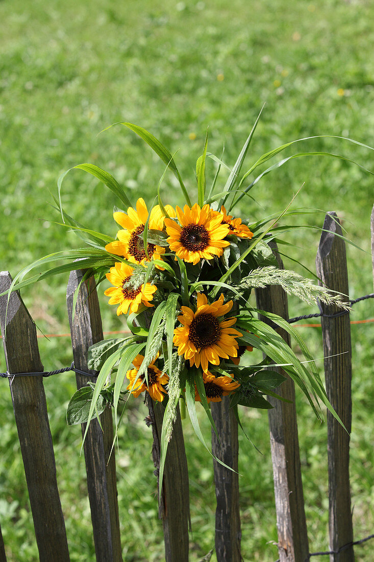 Bouquet of sunflowers on wooden fence