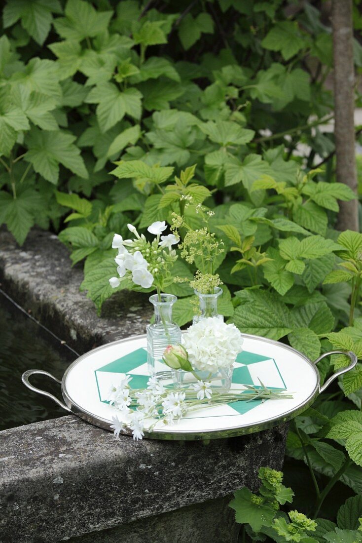 White flowers in small glass vases on retro tray