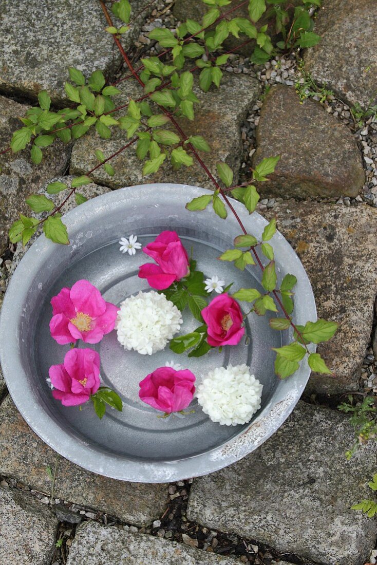 Pink dog roses and viburnum flowers floating in metal bowl