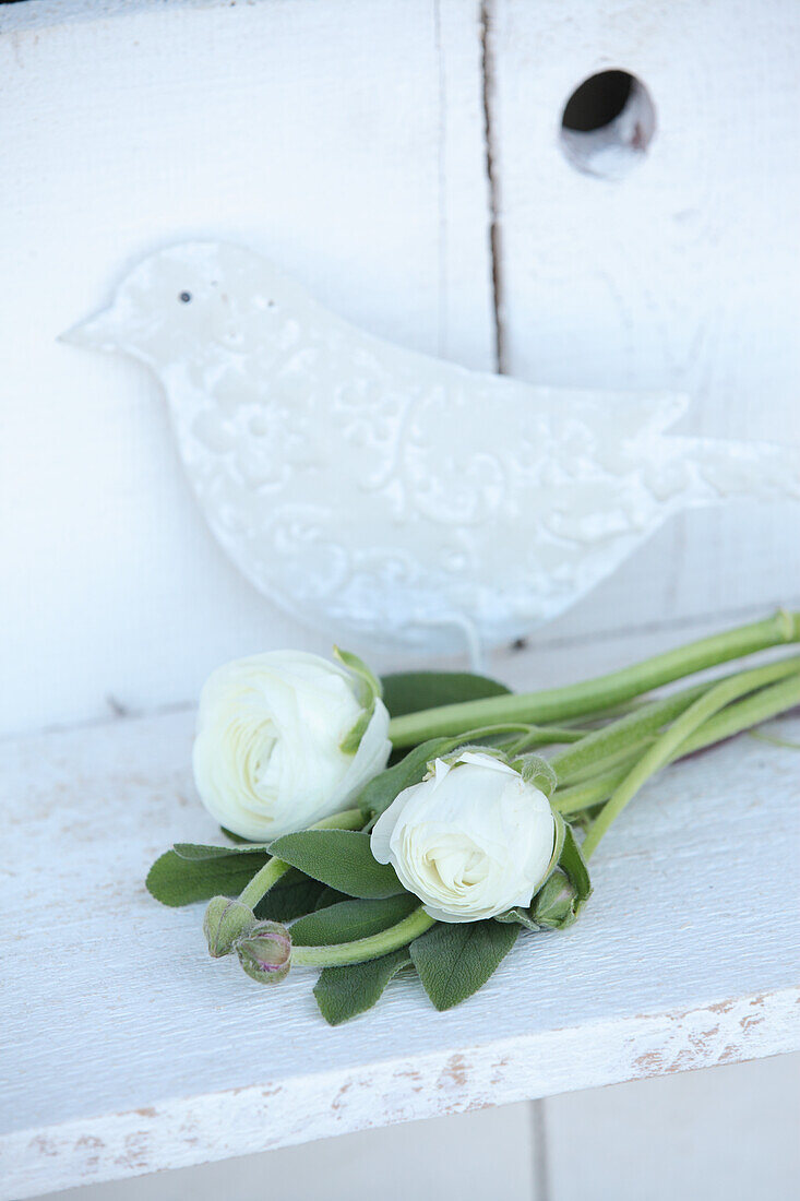 White ranunculus, green sage leaves and bird ornament on white shelf