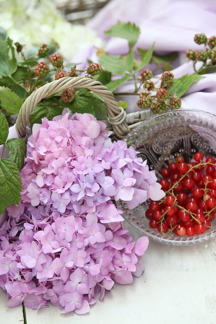 Hydrangeas, poppy seedheads and berries on wicker tray