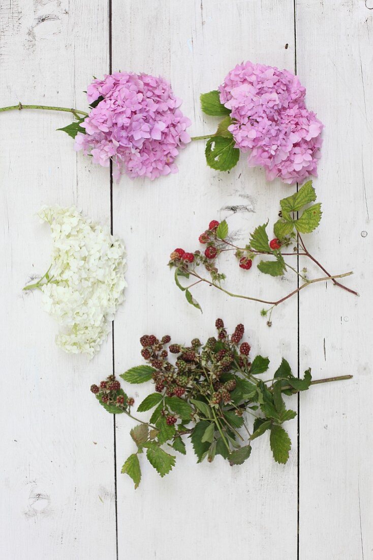 Hortensien, Brombeeren und Himbeeren auf weißen Brettern