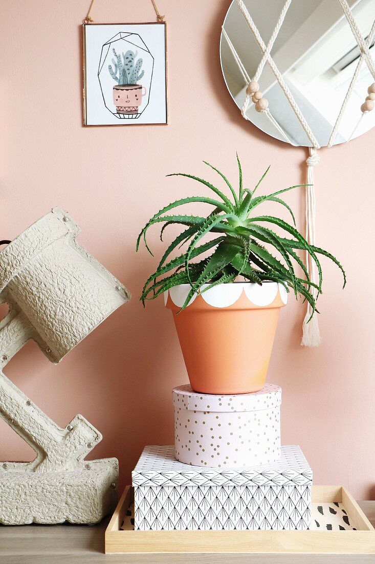 Houseplant in painted terracotta pot on stacked decorative box next to table lamp