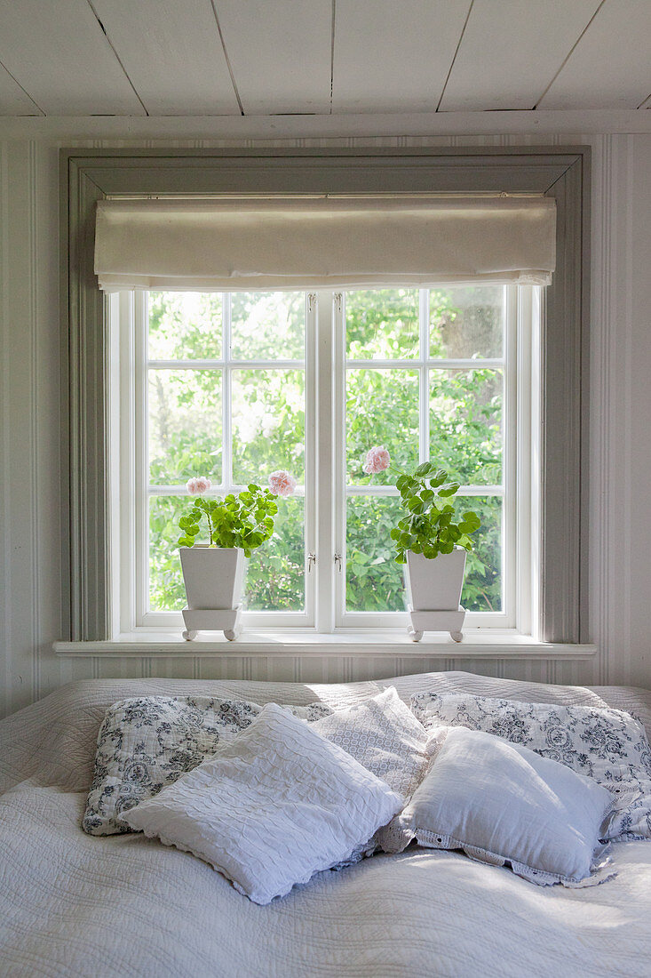 Sunshine on bed below window with potted geraniums on sill