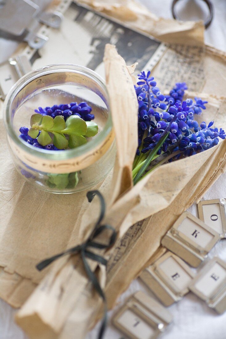 Grape hyacinths wrapped in vintage paper
