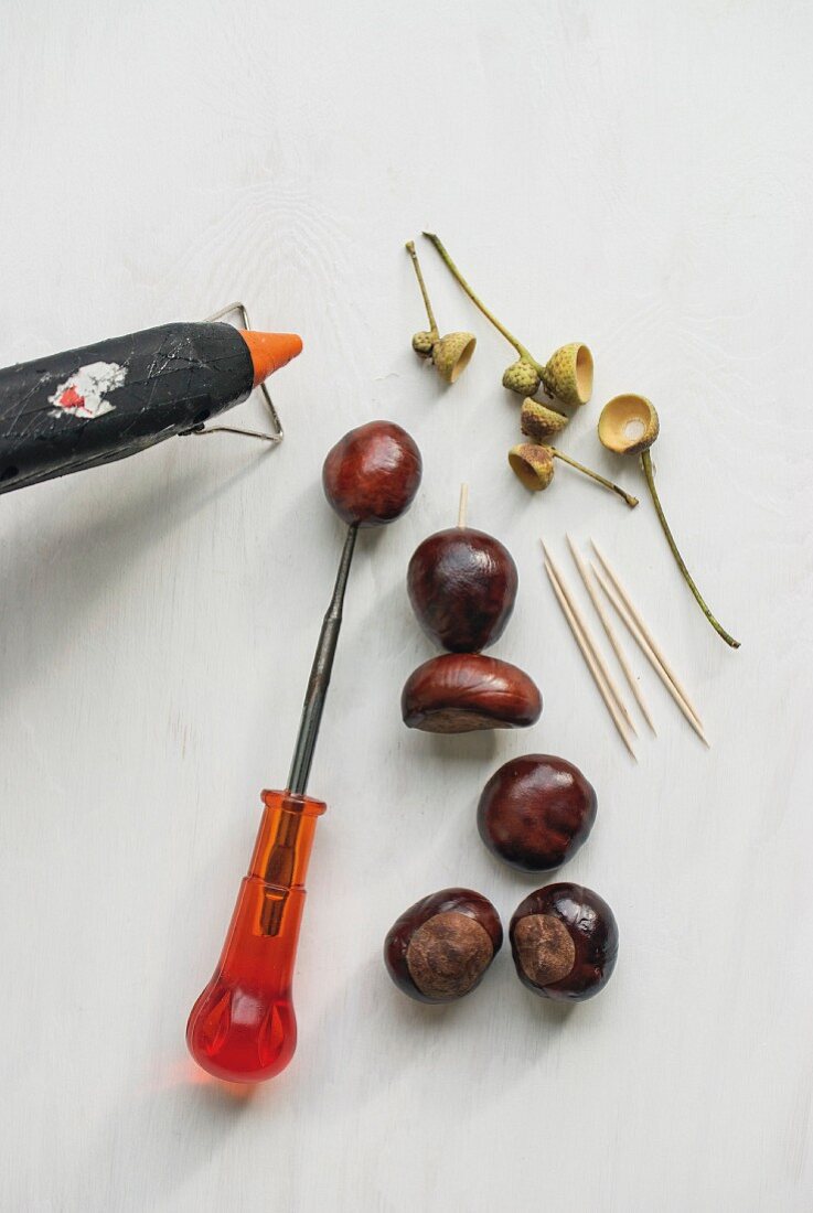 Natural craft materials, horse chestnuts, toothpicks and bradawl