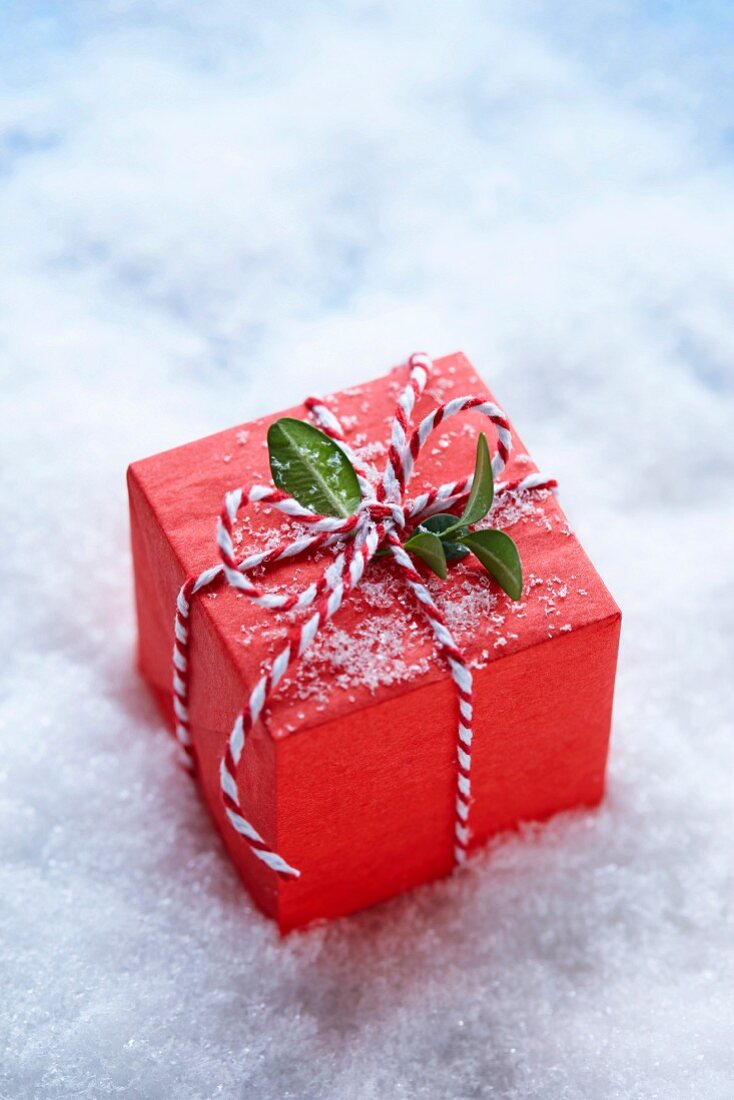 Red-wrapped gift amongst snow