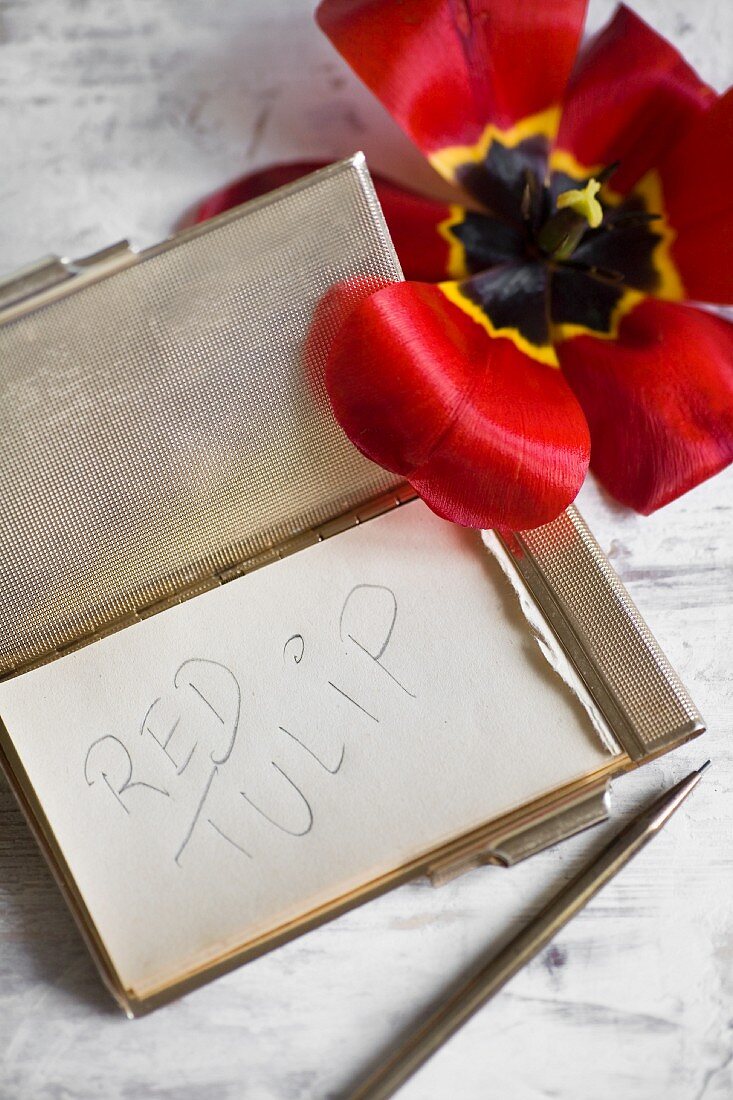 Notepad in elegant metal case, pen and overblown red tulip