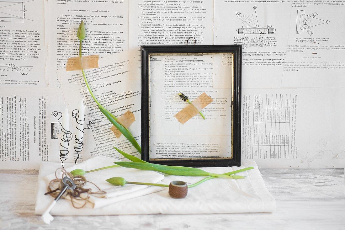 Still-life arrangement of tulips and picture frame against wall papered with book pages