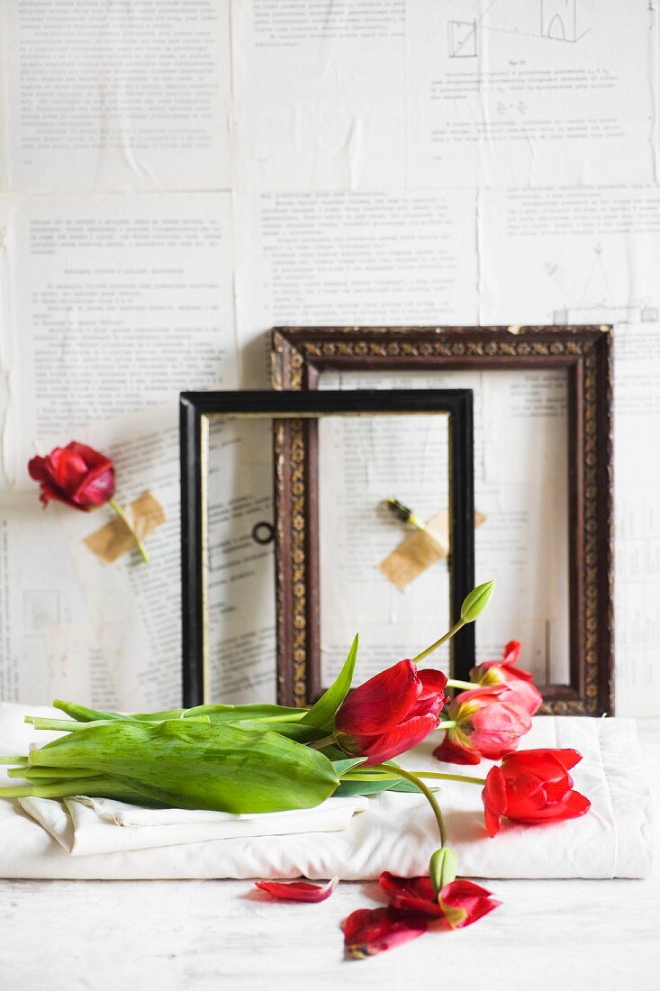 Rote Tulpen vor alten Bilderrahmen an mit Papier beklebter Wand