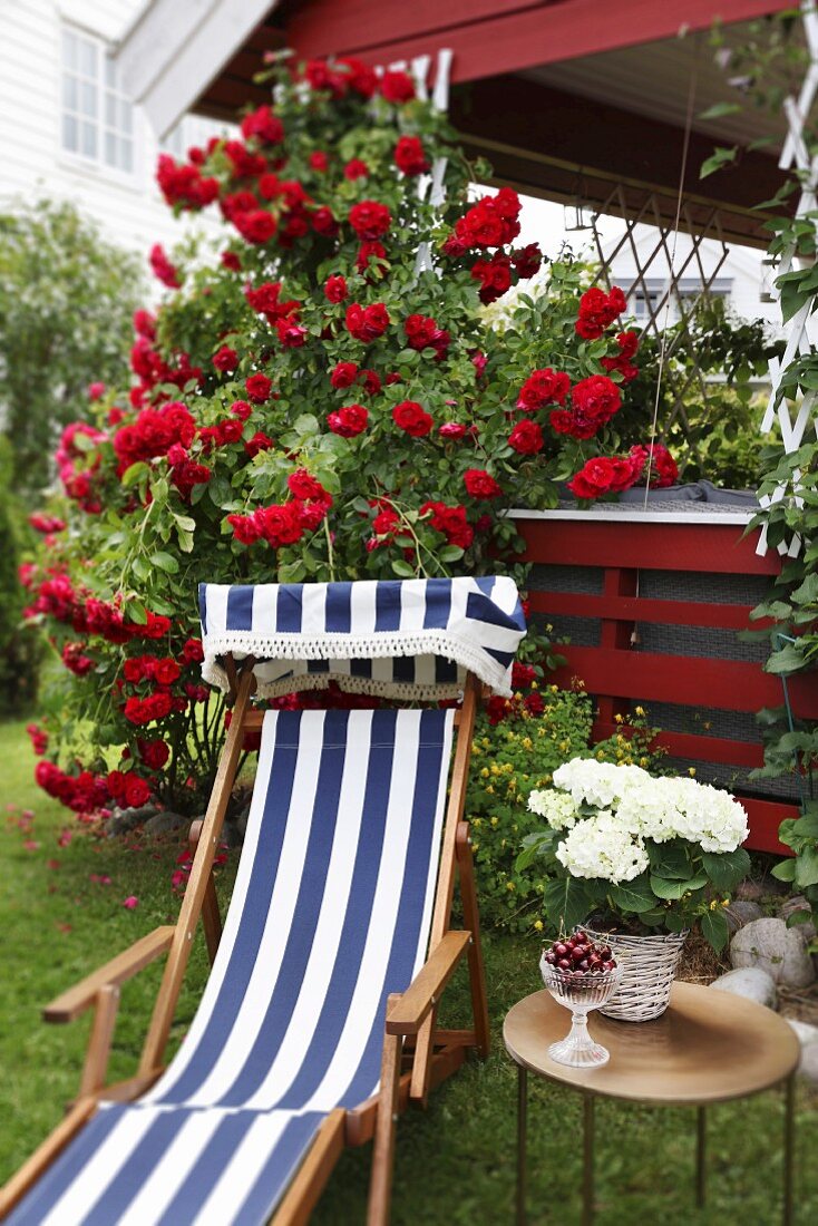 Liegestuhl mit blau-weißem Streifenbezug und Beistelltisch im Garten vor Veranda mit roten Kletterrosen