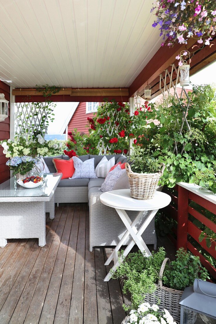 Comfortable corner sofa, coffee table, herbs, climbing roses and hanging baskets on veranda