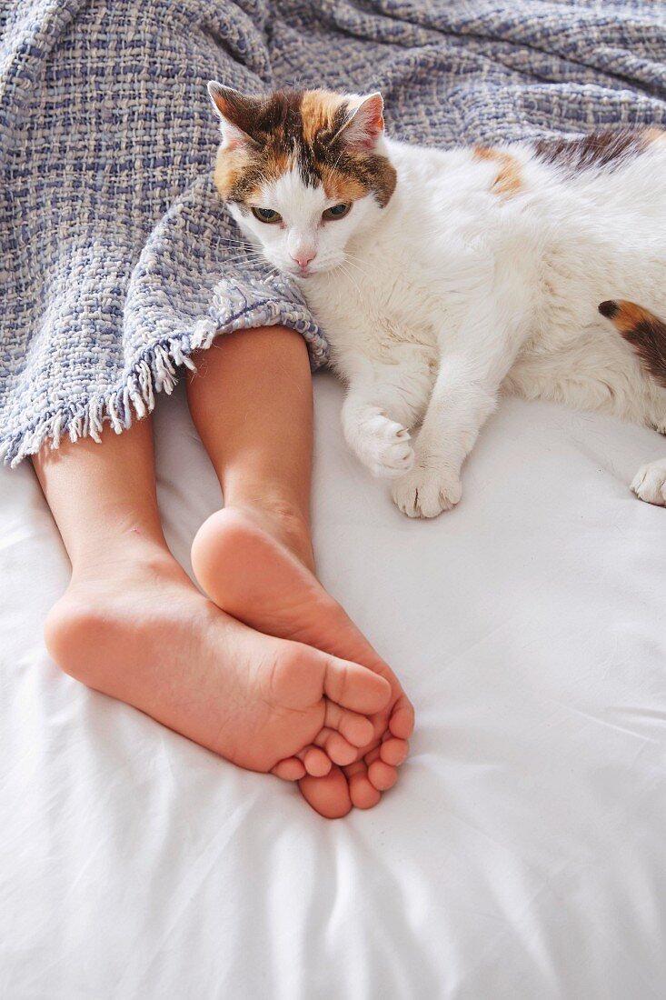A cat next to a woman on a bed