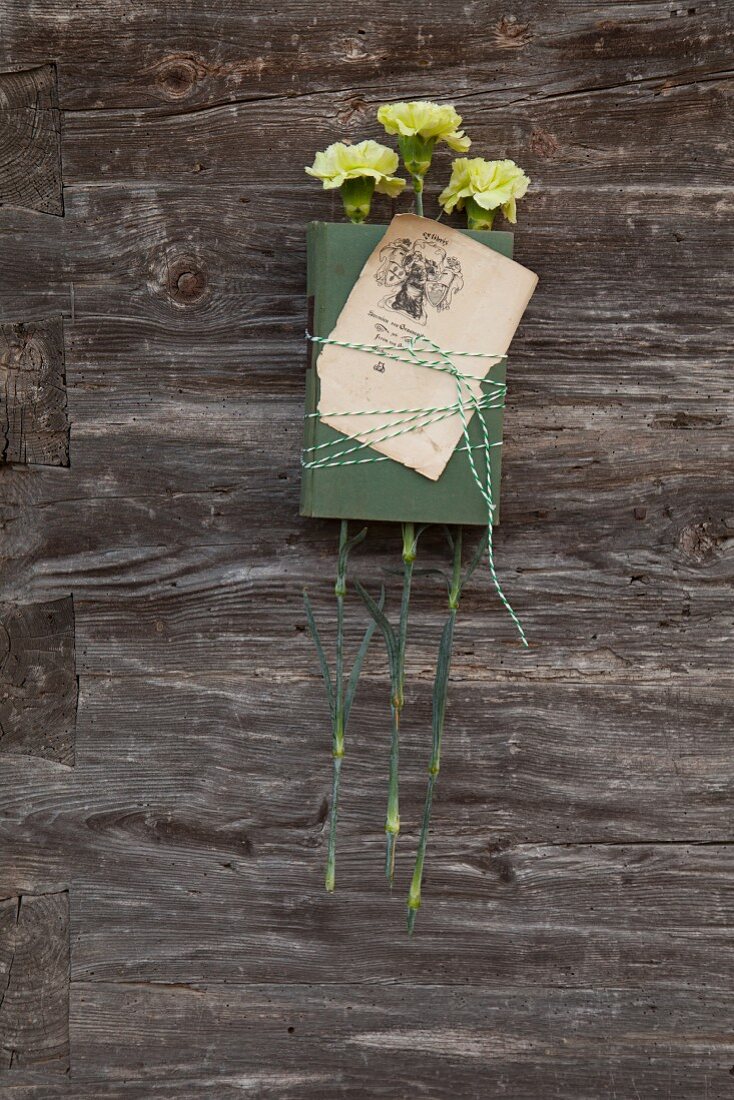 Book, antique bookplate and green carnations tied together with bicoloured string