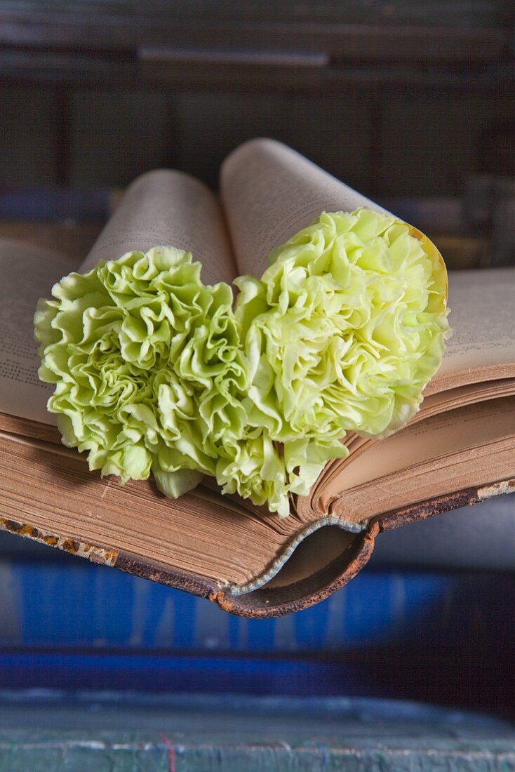 Love-heart made from book pages stuffed with green carnations