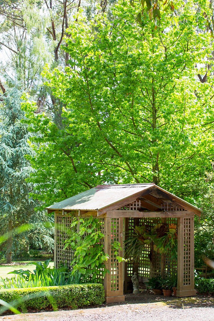 Holzpavillion mit Satteldach und Gitterstruktur unter Ahornbaum