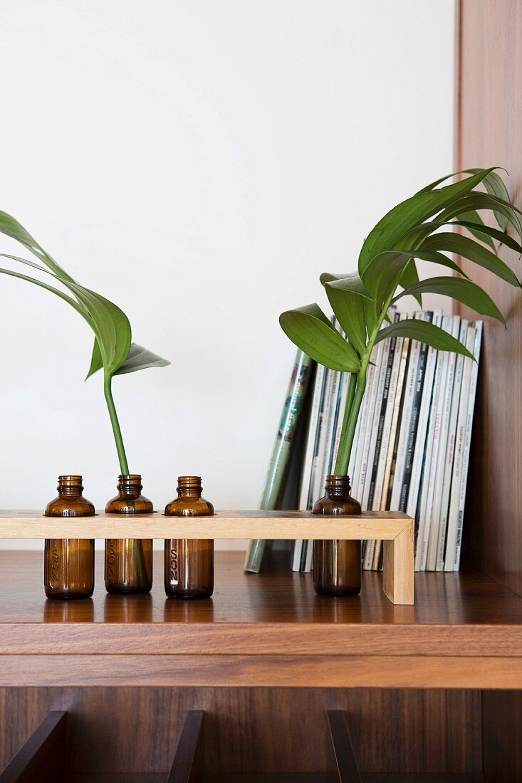 Brown glass bottles as vases for leaves in a wooden frame in front of magazines