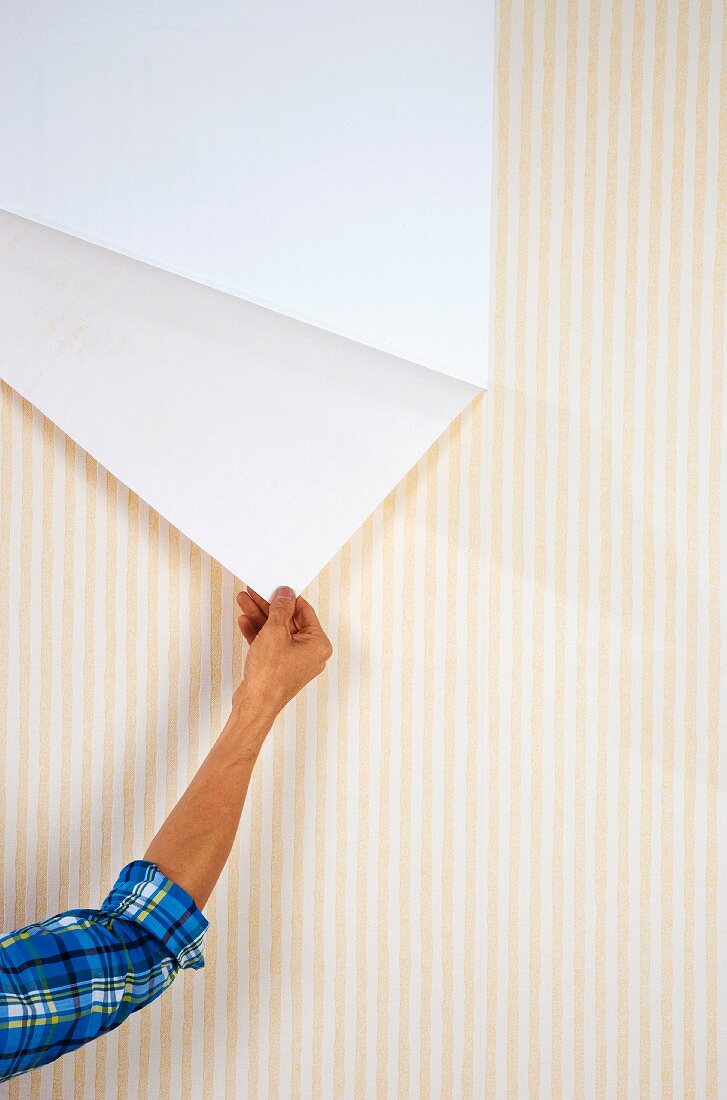 Peeling yellow-and-white striped wallpaper from wall
