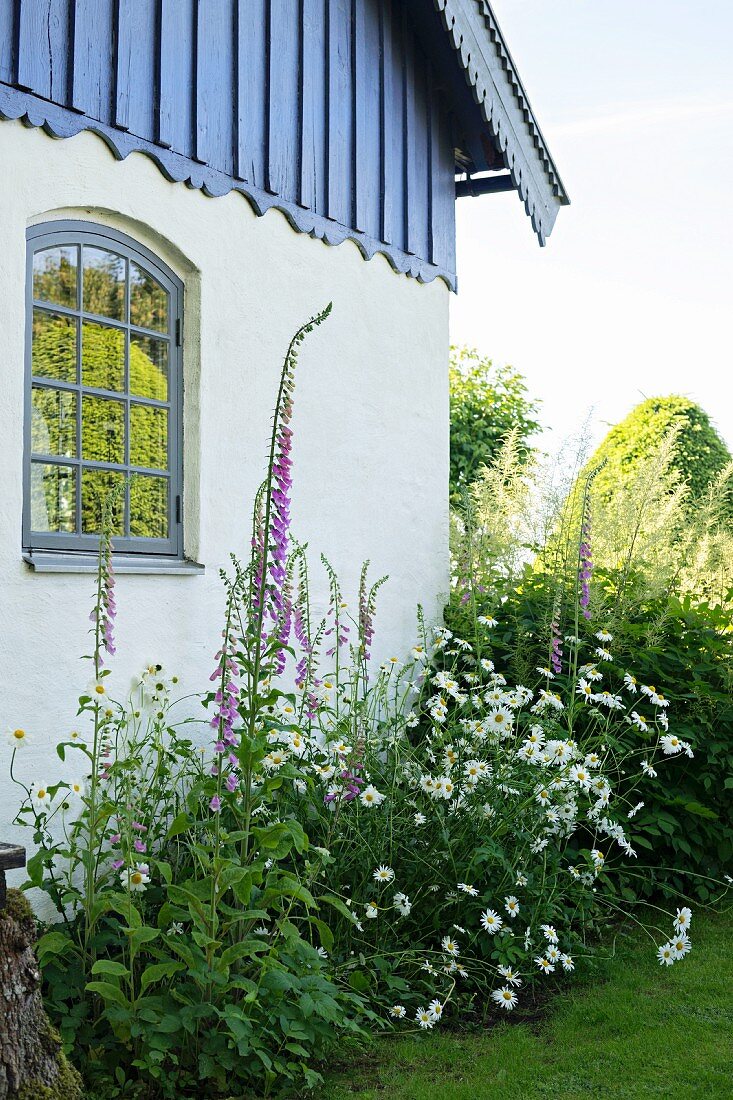 Summer flowerbed outside country house with blue clapboard upper storey