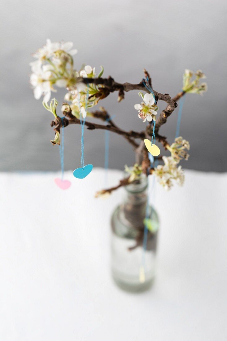 Frühlingsdeko: Papierherzen aufgehängt an Obstblütenzweig