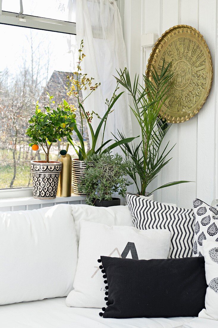 Wohnzimmerecke mit Zimmerpflanzen auf Fensterbrett, Messing-Wandteller und gemütlichen Kissen auf weisser Couch