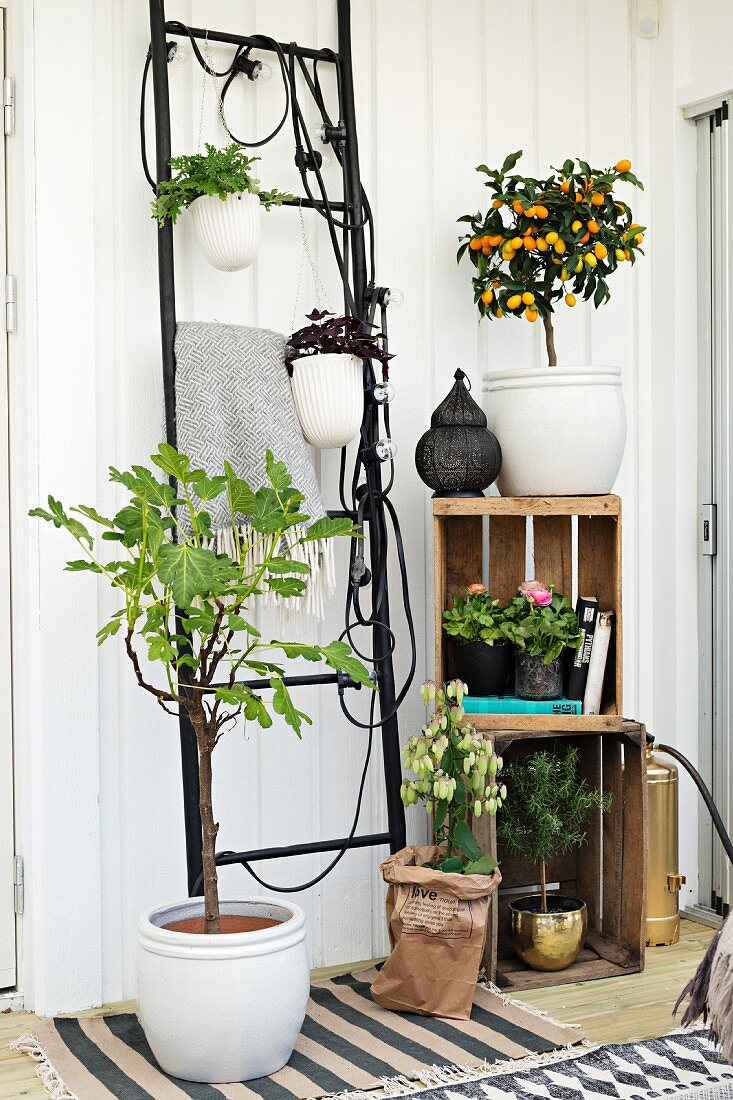 Schwarzes Leitergestell neben Holzkisten für Pflanzen in Wintergartenanbau mit skandinavischem Flair