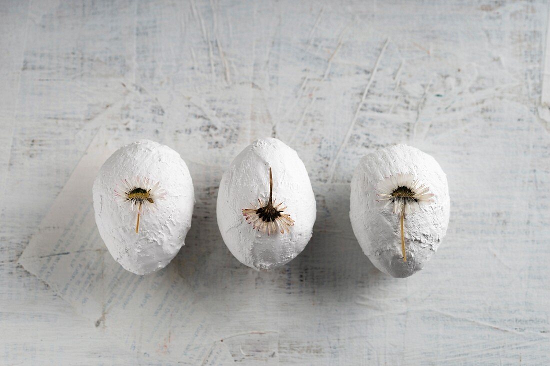 Drei weiße Gipseier als Osterdeko verziert mit gepressten Gänseblümchen