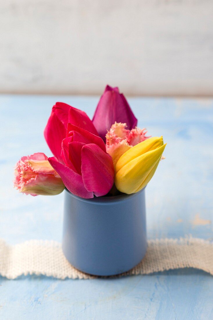 Tulips of various colours in ceramic pots