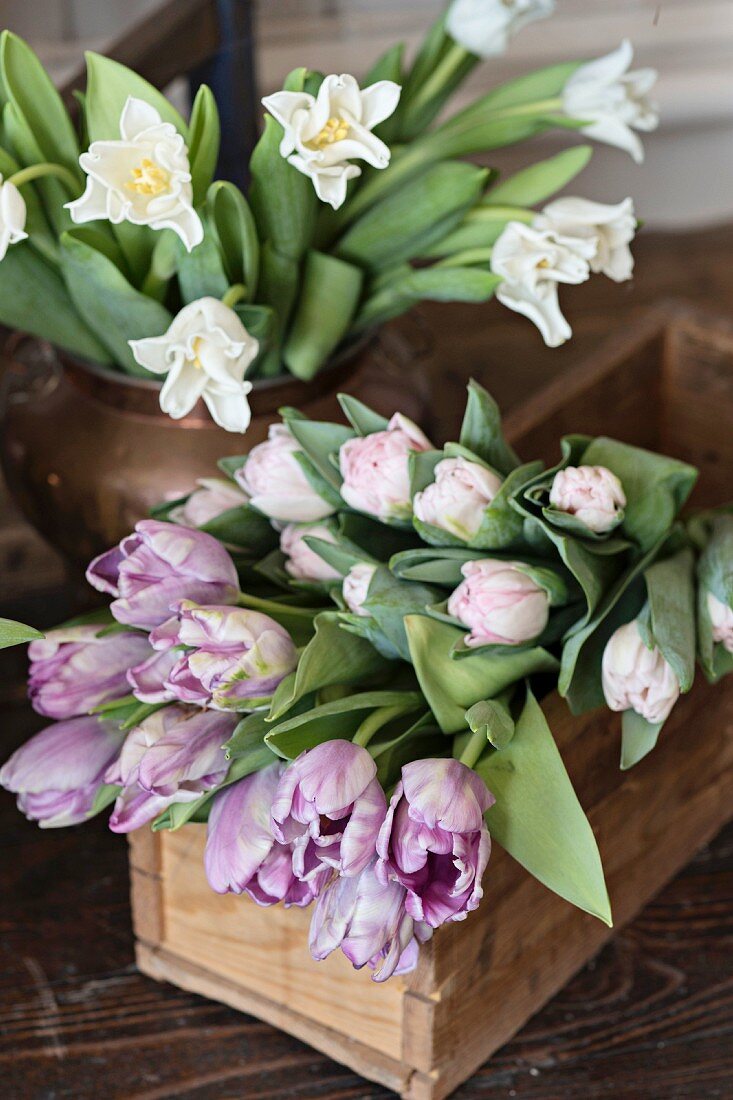 Verschiedene Tulpensorten in Holzkiste und in Vase