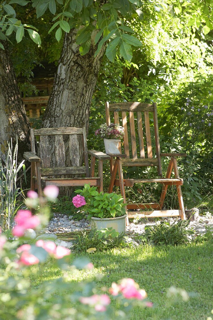 Two weathered wooden chairs under trees in summer garden