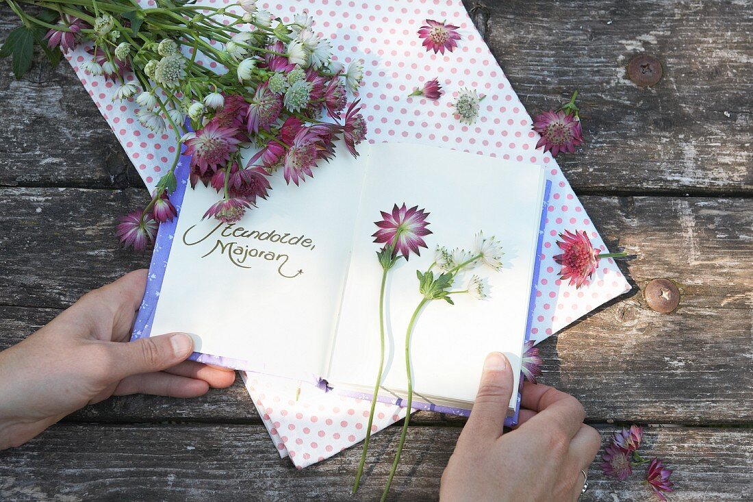 Hands holding open notebook and astrantias