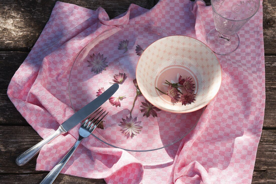 Astrantia under glass plate on gingham cloth
