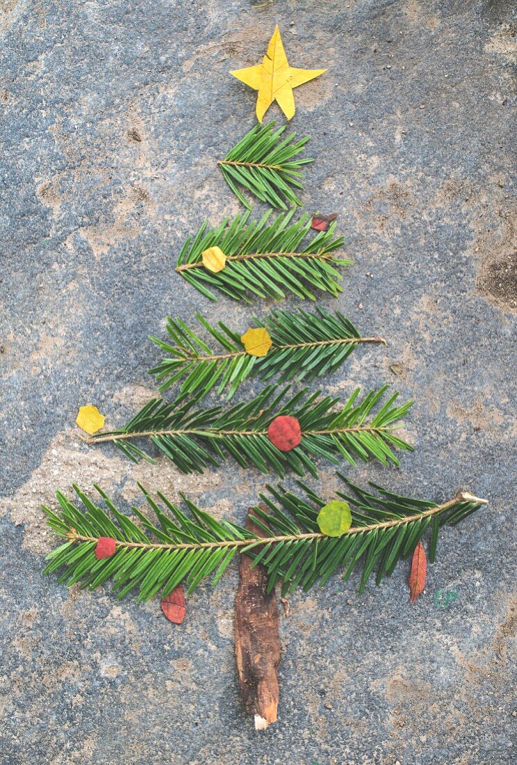 Sprigs of fir and pieces of leaf and bark arranged in shape of a Christmas tree