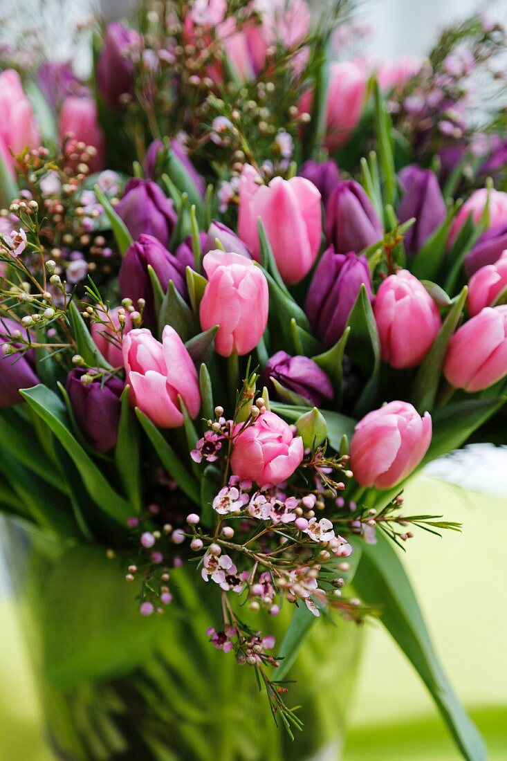 Strauß mit pinken und violetten Tulpen