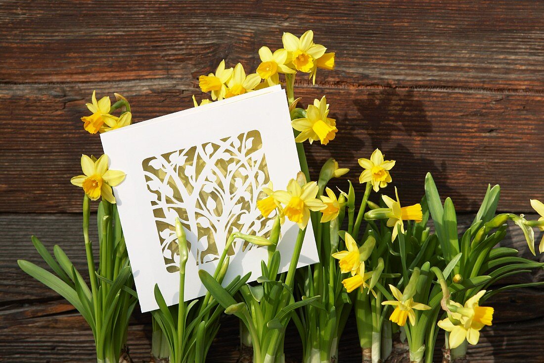 Frühlingshafte Karte mit ausgeschnittenem Blumenmotiv