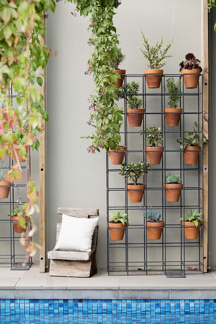 In Metallgestell eingehängte Tontöpfe mit Grünpflanzen neben Vintage Holzstuhl vor grauer Hauswand