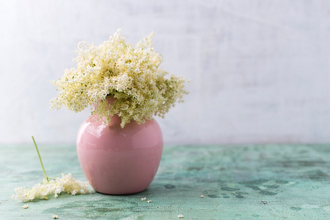Holunderblüten in einer Vase