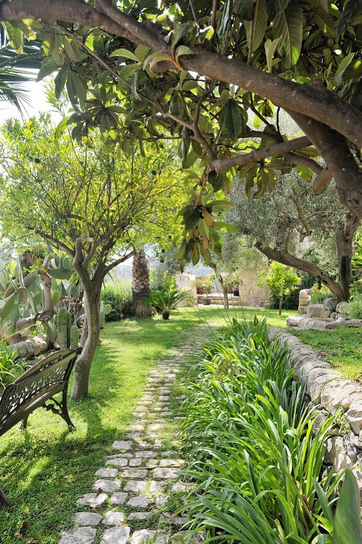 Mediterraner Garten mit Gartenbank und Bäumen