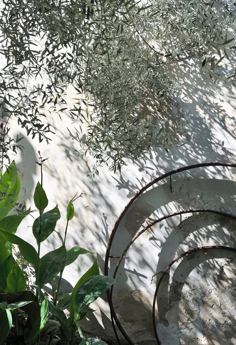 Drei ineinandergestellte Metallringe an mediterraner Hauswand neben Pflanzen