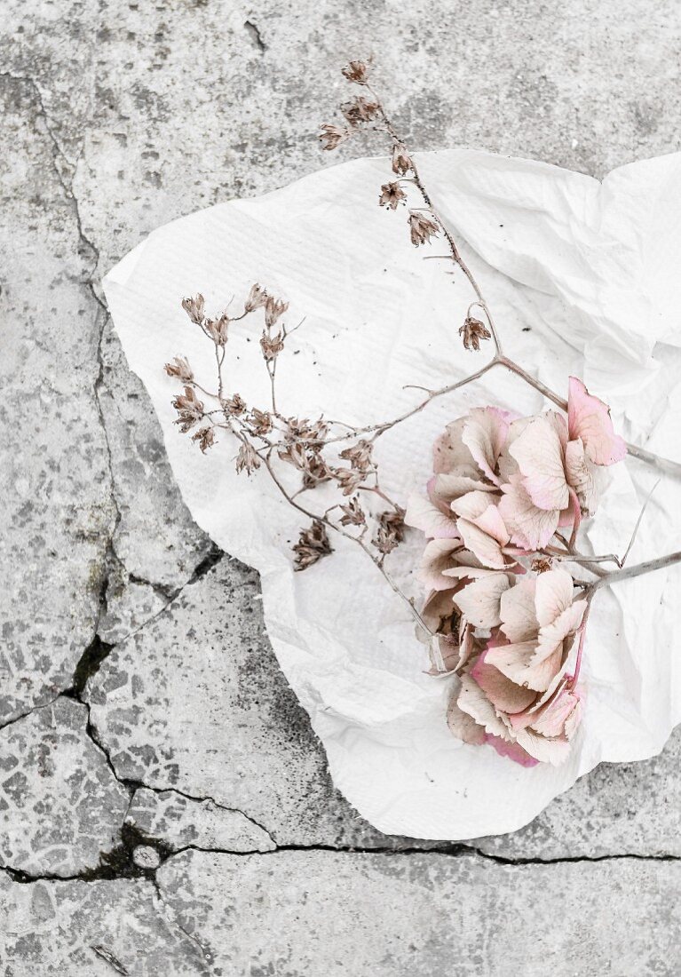 Verblasste Hortensienblüte auf weißer Küchenrolle und Steinuntergrund