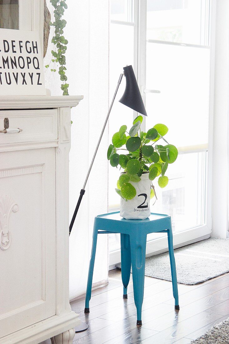 Dekorative Grünpflanze in weißem Säckchen auf hellblauem Klassiker-Hocker vor Fenstertür